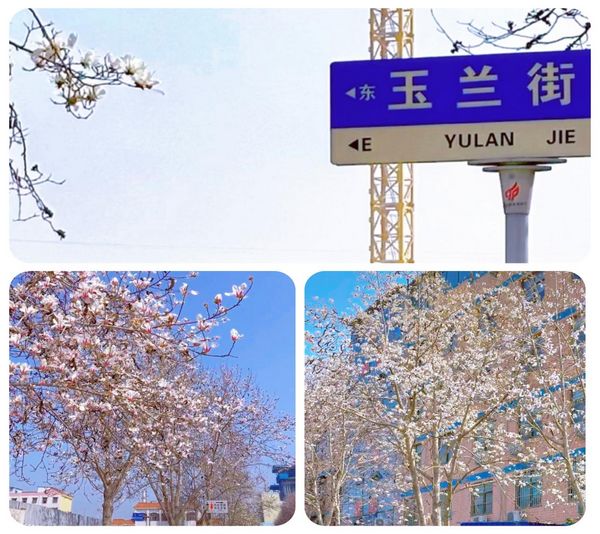 图片9.jpg