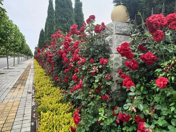 微信图片_20230508081019.jpg