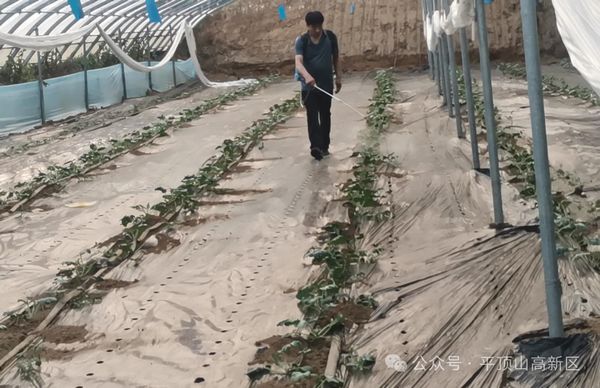 微信图片_20240507084946.jpg