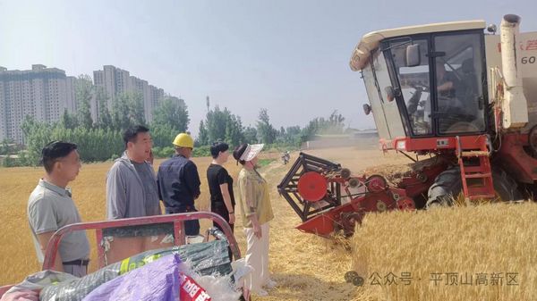 微信图片_20240524164205 - 副本.jpg