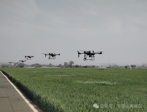 微信图片_20250428163227.jpg
