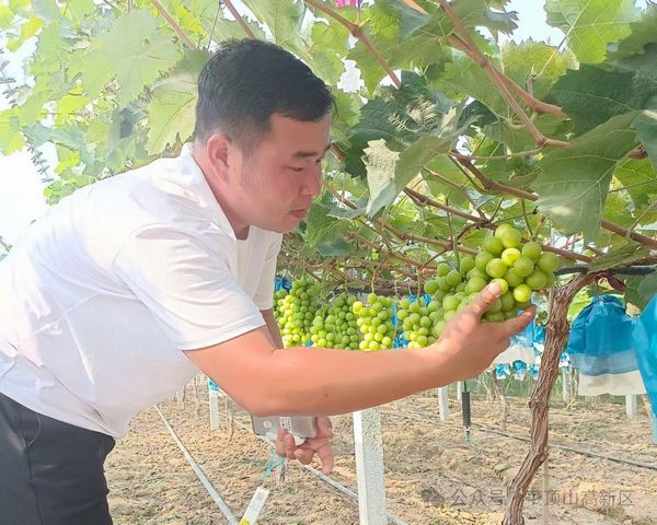 微信图片_20250909153708.jpg